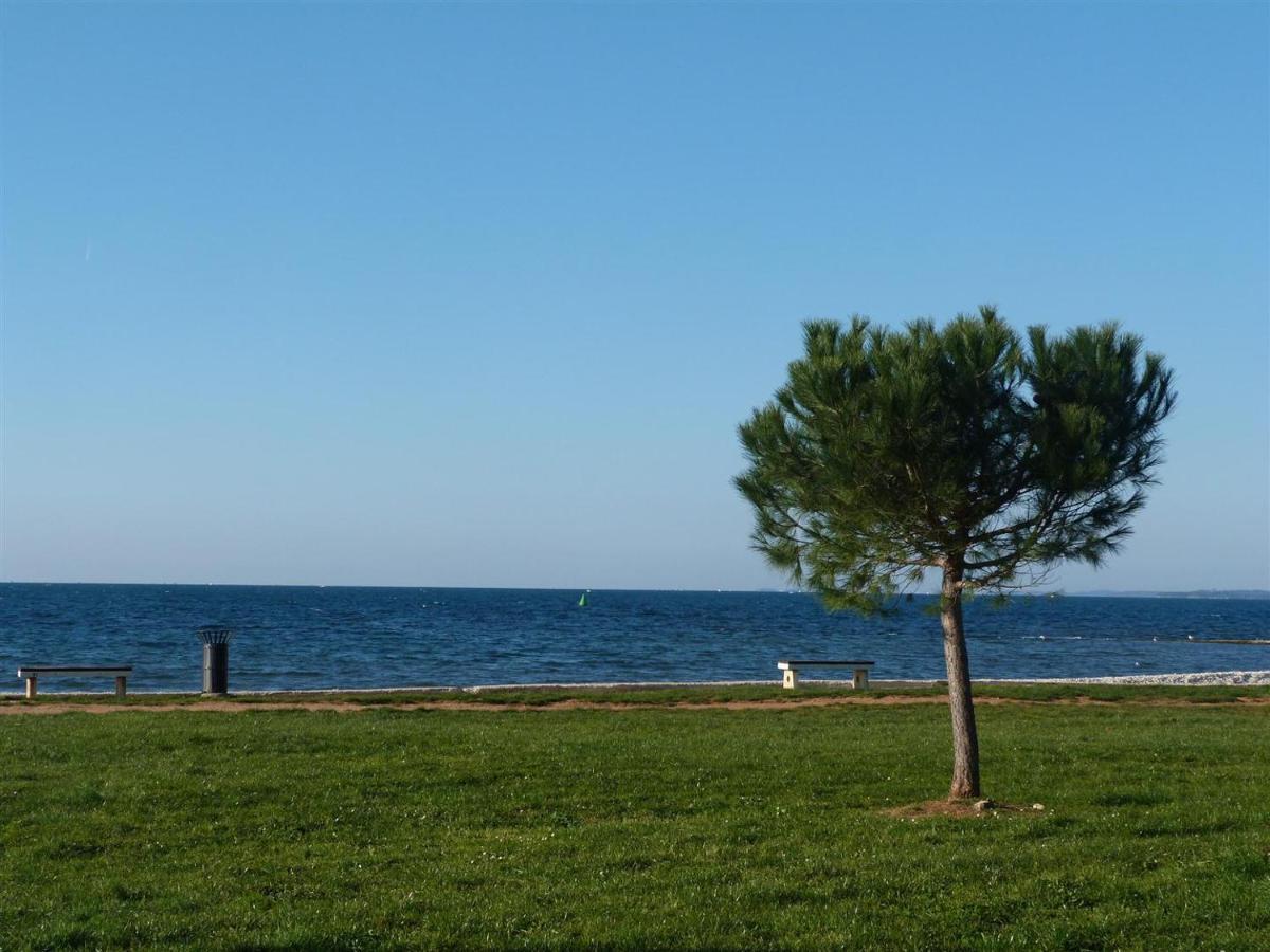 Lovely Fazana Apartments 400M From The Sea المظهر الخارجي الصورة